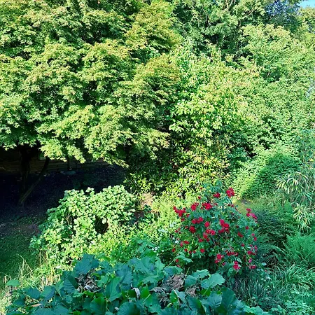 Feriehus Historisches Bruchsteinhaus Mit Garten & Kamin - 20 Min Koeln - Messe
